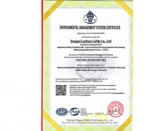 環(huán)境管理體系證書英文版